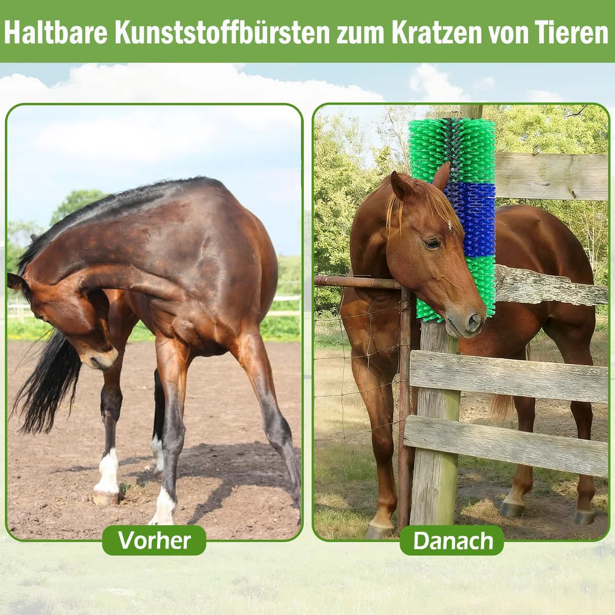 2 Pcs Kratzbürste Pferd, Halbrunde Pferde-Rückenkratzer, Pferdebürste, Kuhbürste, lindert Juckreiz & reinigt Mähne, Kratzbaumbürste für Pferd, Kuh, Schwein, Schafe, 43.5cm