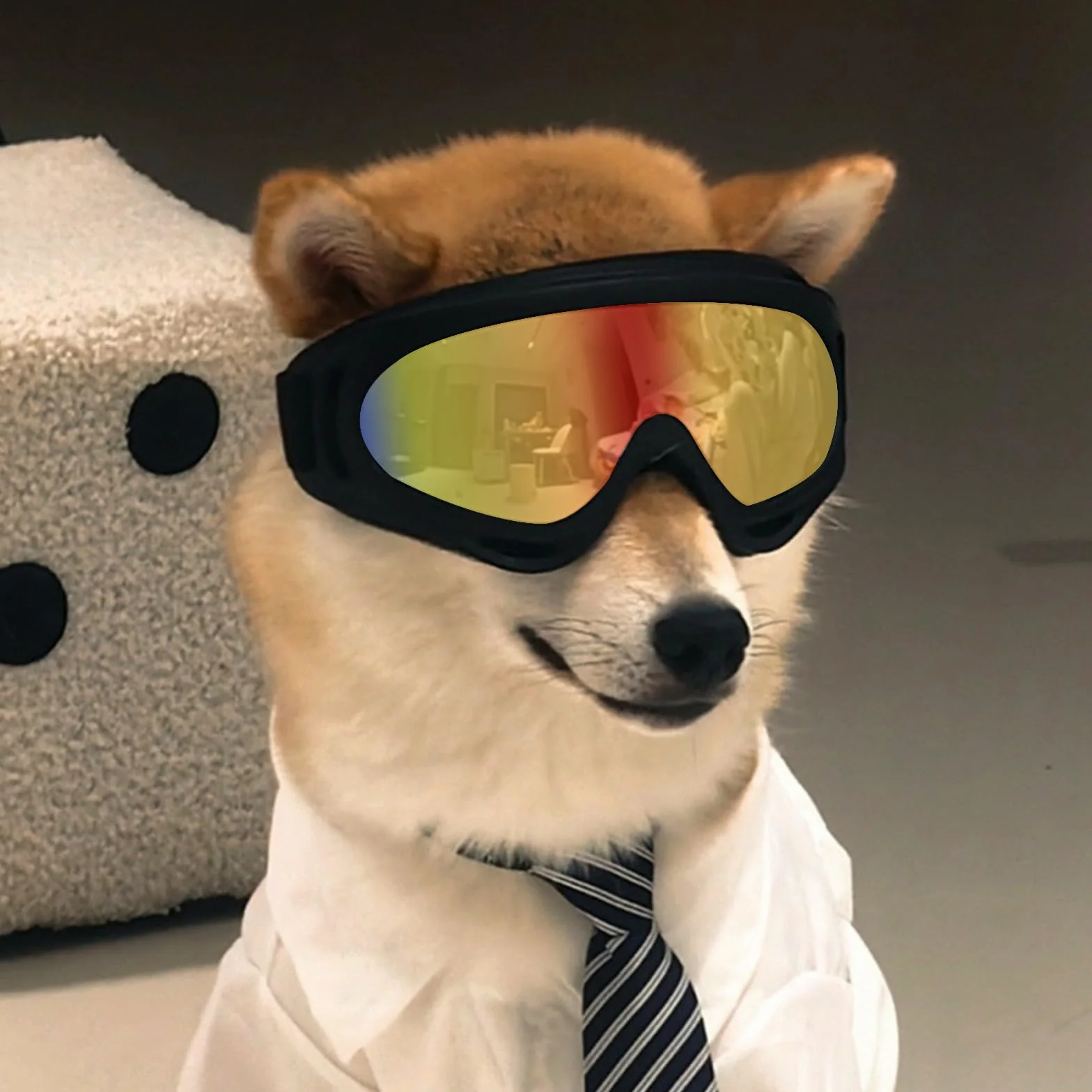 2Stück Hundebrille, Brille Hund UV-Schutz, Winddicht Hunde Brille, Sonnenbrille Hund mit Verstellbare Riemen, Hundesonnenbrille für Mittel Große Hunde, zum Autofahren,Outdoor-Aktivitäten,Farbe