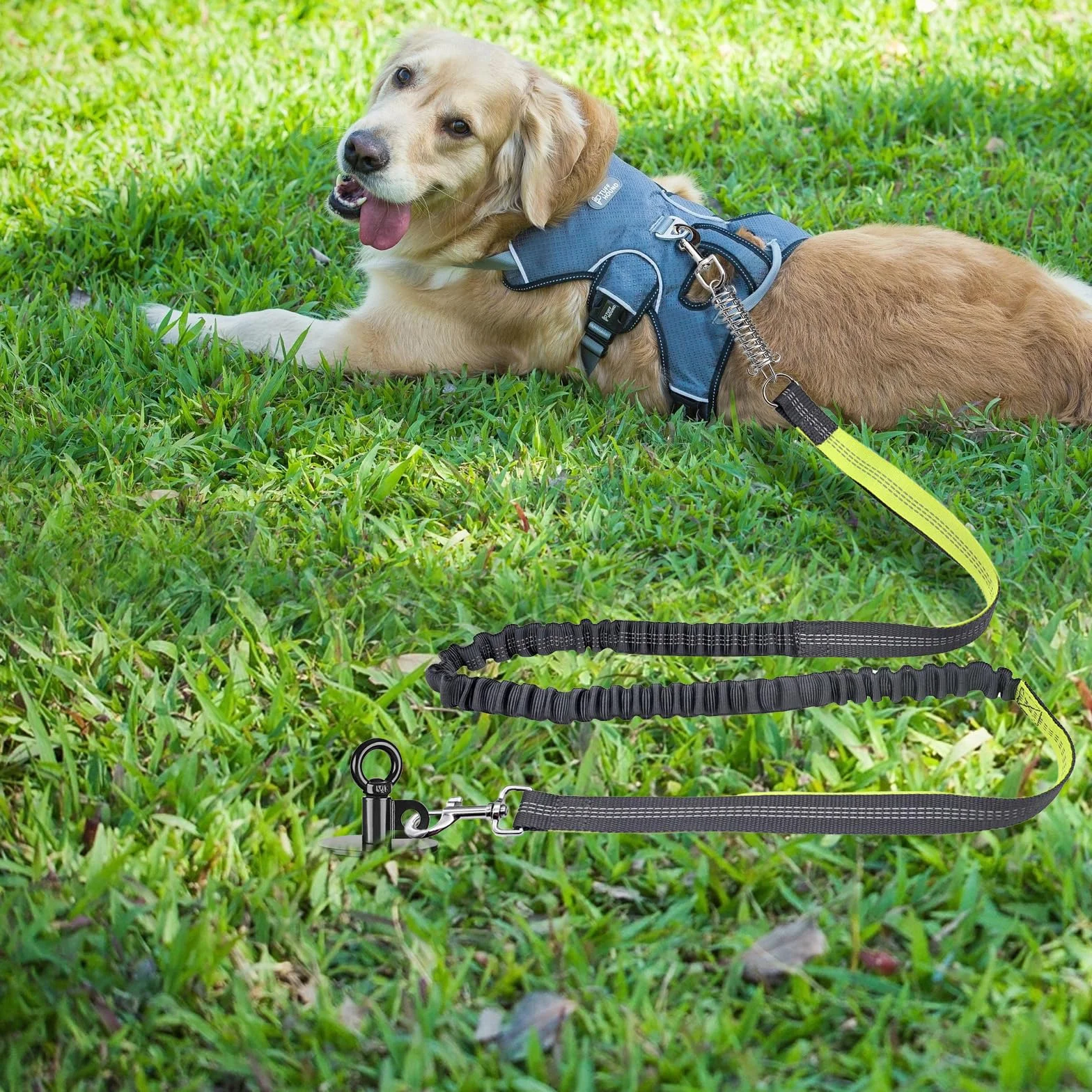 38,1 cm Langer Hunde-Angelrand, robuster Hundeanker für Hunde bis zu 100 kg, kein Verheddern, zu entfernen, ideal für Hof, Camping und Strand, 1 Packung (schwarz)