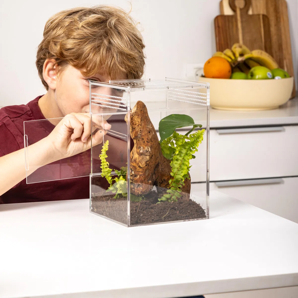 Springspinnengehege, Springspinnenwohnraum, Spinnen-Terrarium Kit, Springspinnengehege Zubehör, Spinnenkäfig, Käferterrarium, Insektenterrarium, Schneckenlebensraum, Arboreal Tarantel Gehege