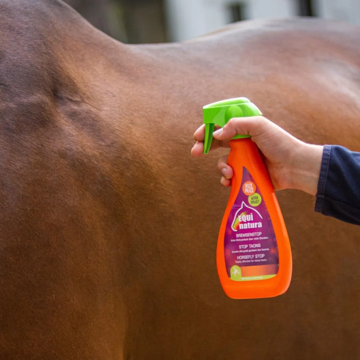 RL24 Equinatura - Bremsenstop | hautverträglicher Insektenschutz | Fliegenschutz gegen Bremsen, Zecken, Stechmücken & Fliegen | Bremsenspray für Pferde | 2 x 500 ml Spray (2er Set)