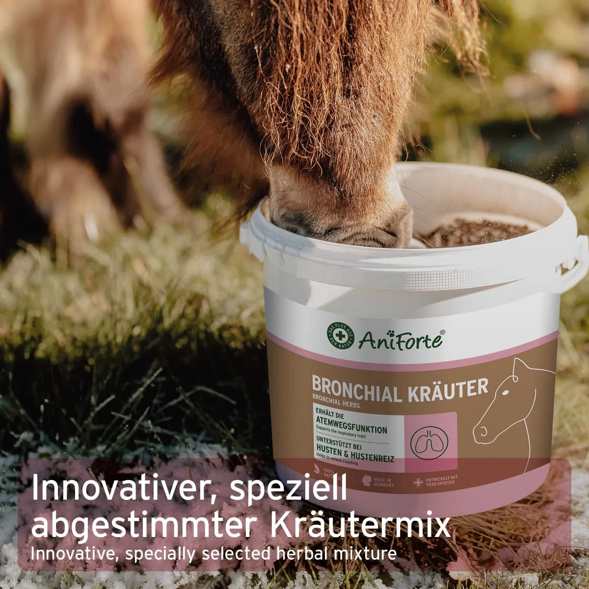 AniForte Bronchialkräuter Pferd 1kg - Bei Husten & Schnupfen, Atemwegskräuter Pferd als Ergänzungsfutter, Pferde Hustenkräuter für freie Atemwege, natürliche Kräuter mit Methylcystein