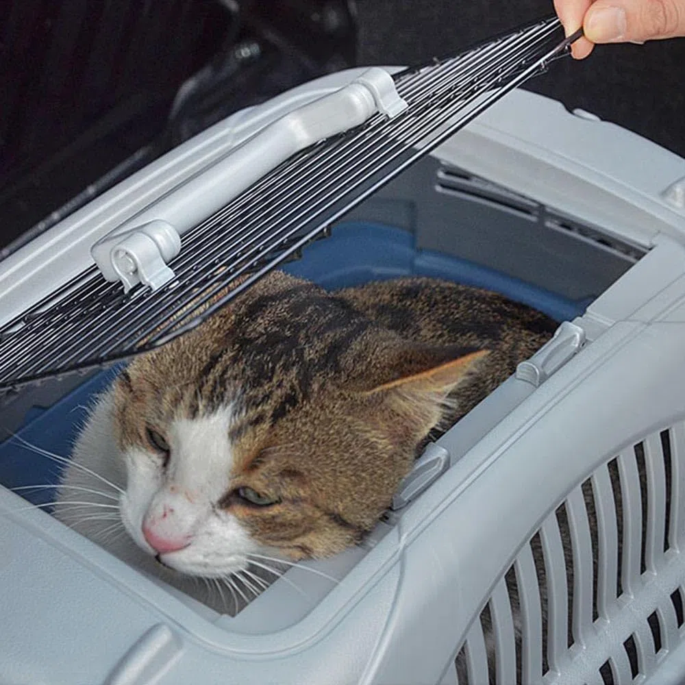 Ferplast Trasportino cani gatti viaggio tetto apribile Ferplast ATLAS DELUXE OPEN