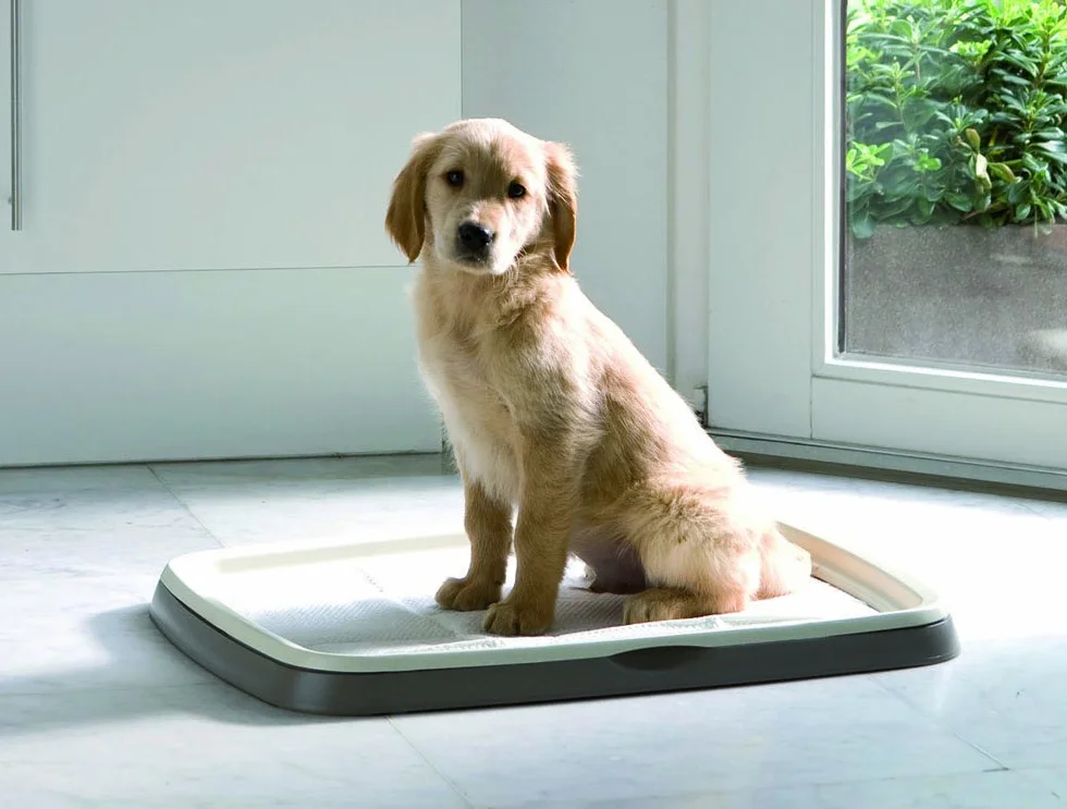 Savic Ersatzpads für Puppy Trainer-Hundetoilette, Größe L, 60 x 45 cm, 30 Stück