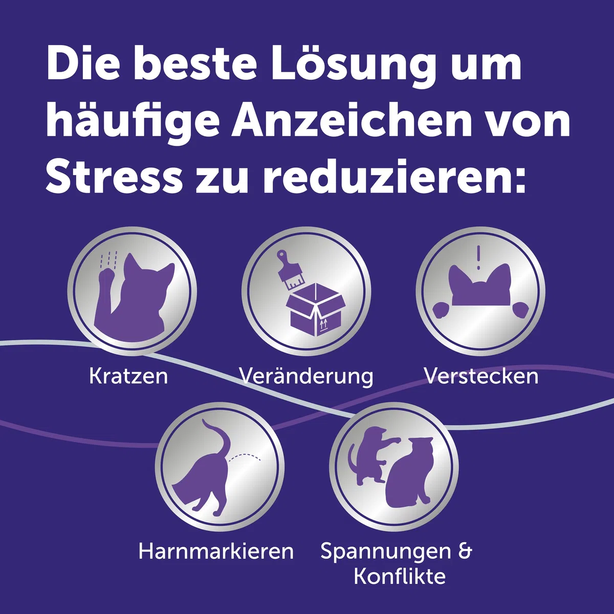 FELIWAY Optimum Start-Set | Pheromone für Katzen | Verdampfer für die Steckdose + 48ml Flakon | Diffuser gegen Stress, für mehr Harmonie | 30 Tage Wirkung | von Tierärzten empfohlen, klinisch getestet