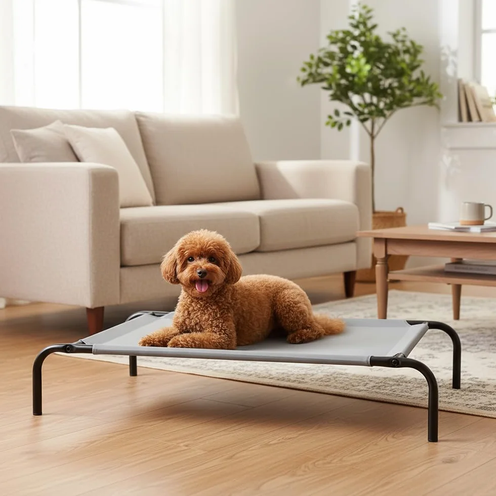 Amazon Basics Kühlendes erhöhtes Hund Haustierbett, M, Grau, L 110 x B 65 x H 19 cm