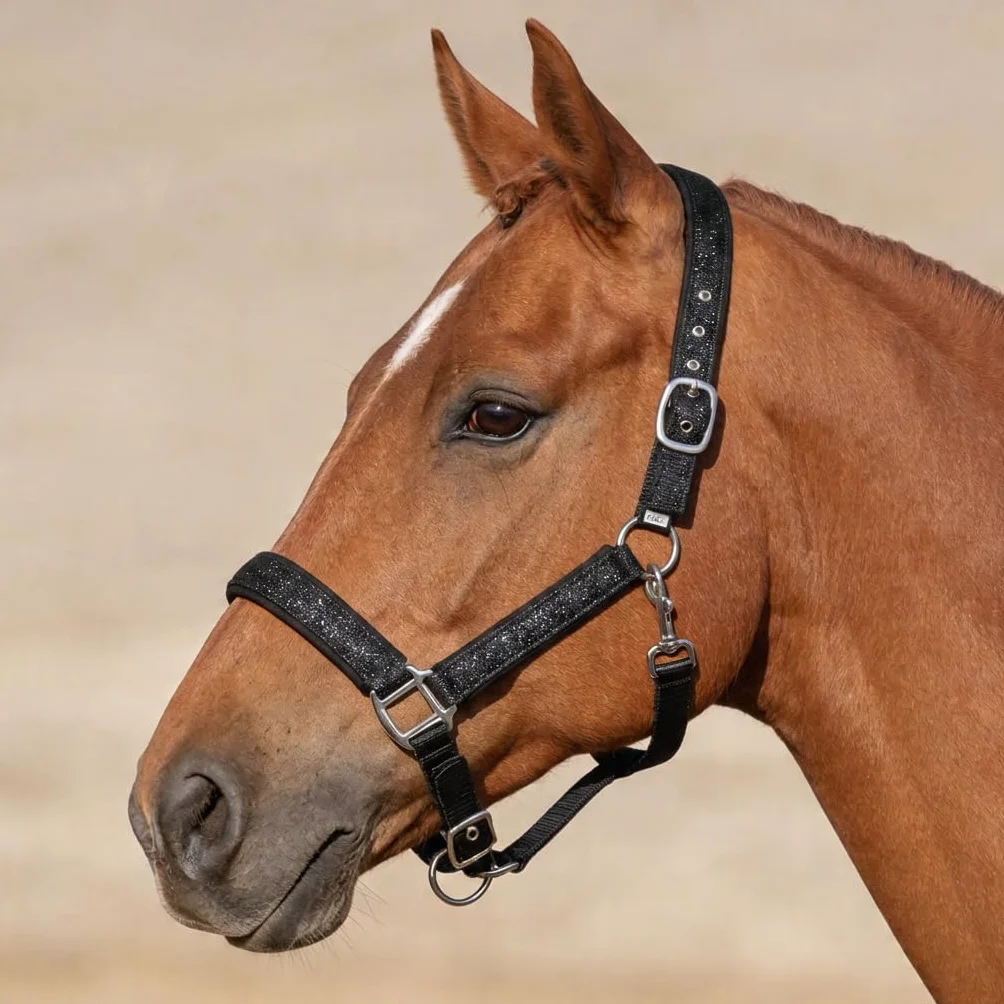 Pferdelinis Halfter für Pferde Glitzerhalfter, gepolstertes Halfter, verstellbare Dornschnallen, Halfter Pony, Cob, Warmblut, Shetty (Schwarz, Warmblut)