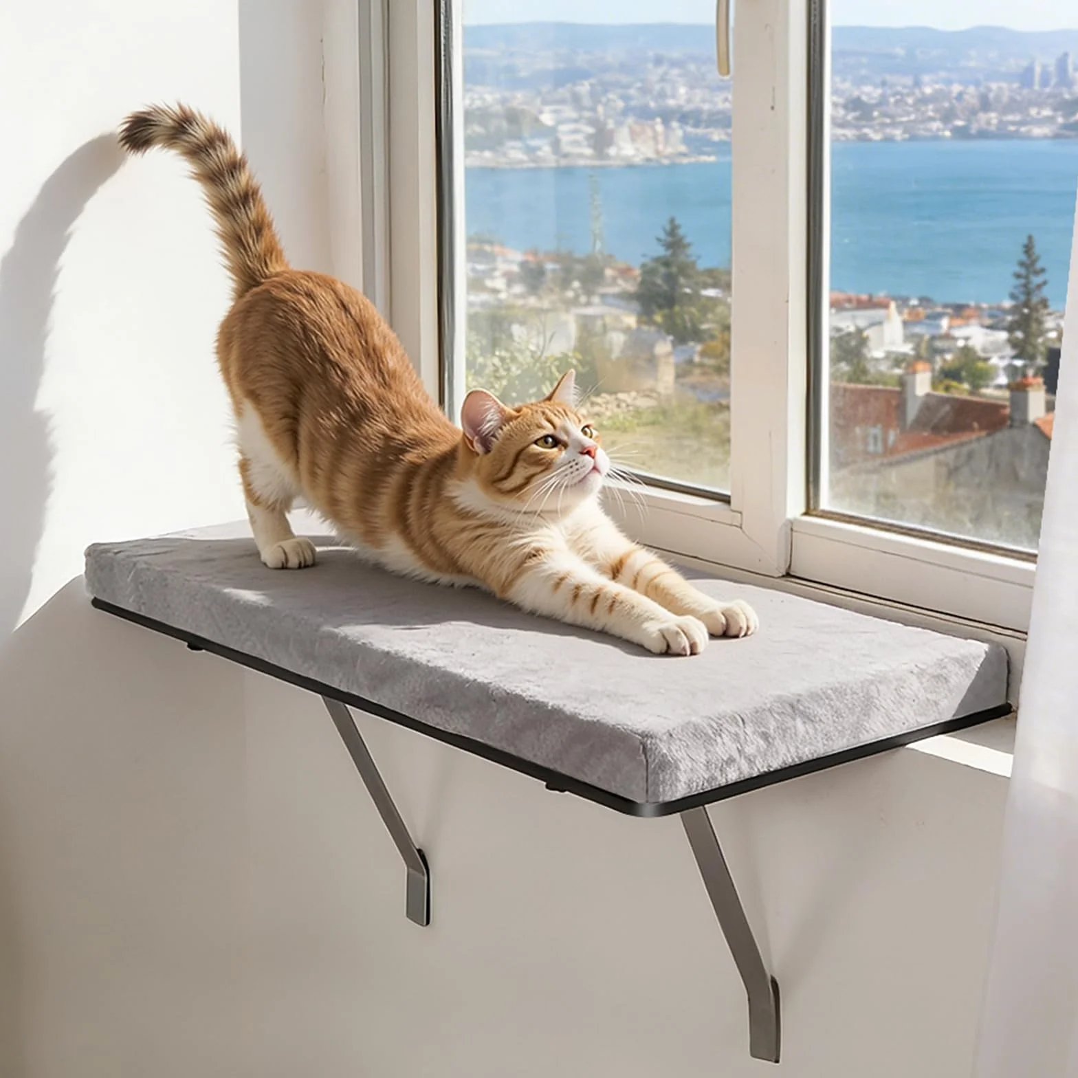 Katzen Fensterliege, Zvonema Stabiles Katzenbett Fensterbank mit Metallbefestigung, 61 x 30 cm Große Hängematte Katze, bis 15kg, Weicher Grauer Plüsch, Abnehmbar & Waschbar (Schwingungsgedämpft)