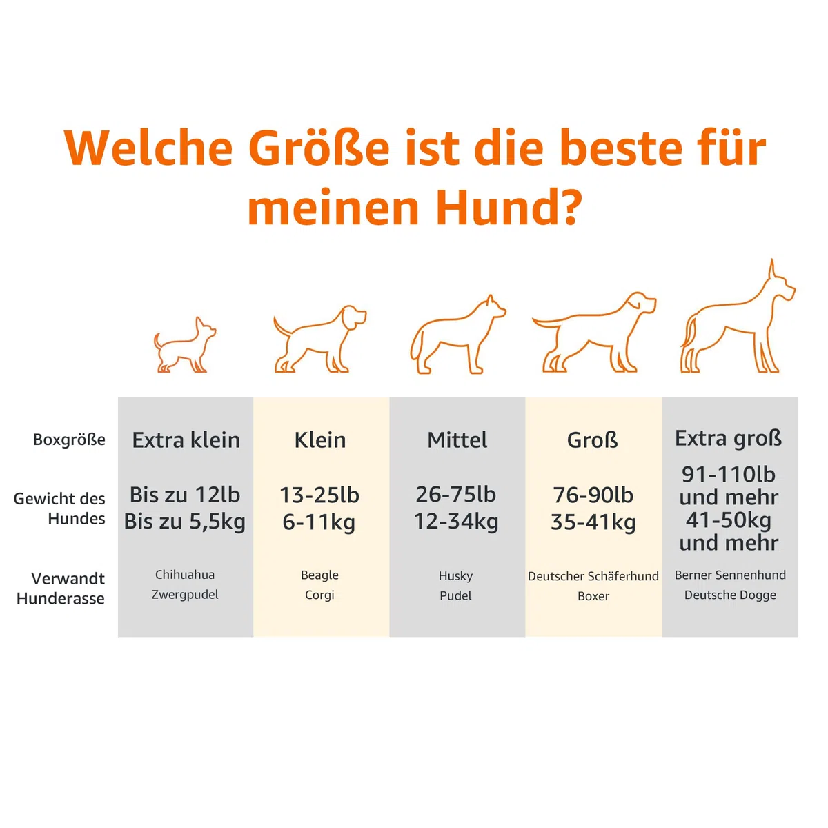 Amazon Basics Kühlendes erhöhtes Hund Haustierbett, M, Grau, L 110 x B 65 x H 19 cm