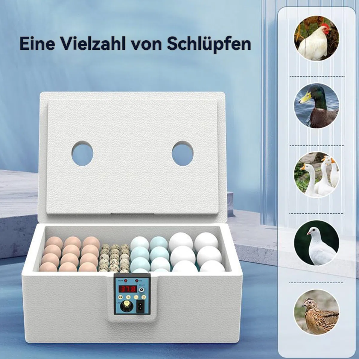 Brutgerät Zum Ausbrüten Von Eiern, Hühner Brutapparat Für 10-25 Eier | Automatische Wendung, Intelligente Temperaturregelung Und Brutstätte Für Geflügelzucht Mit Integriertem Wendemechanismus