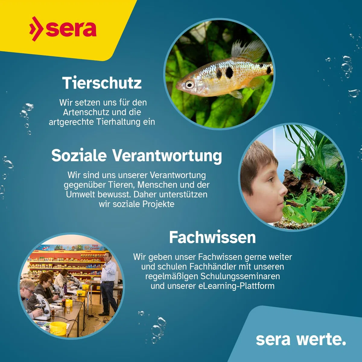 sera air 550 R Plus| Stromsparende Aquarium Pumpe mit Rückschlagventil | Aquarium Zubehör | Energieeffizient & leise | Starker Luftstrom Nonstop | Modulares Design, leicht zu warten