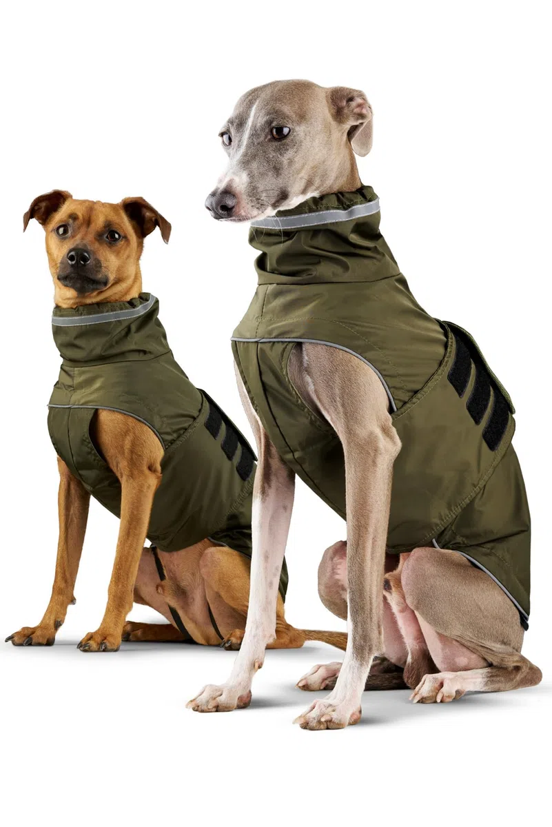 Hunderegenmantel London I Mit extra langem YKK® Reißverschluss für Halsband & Geschirr I Für kleine, mittlere & große Hunde I Wasserdicht & Maschinenwaschbar I Regenmantel für Hunde (45)
