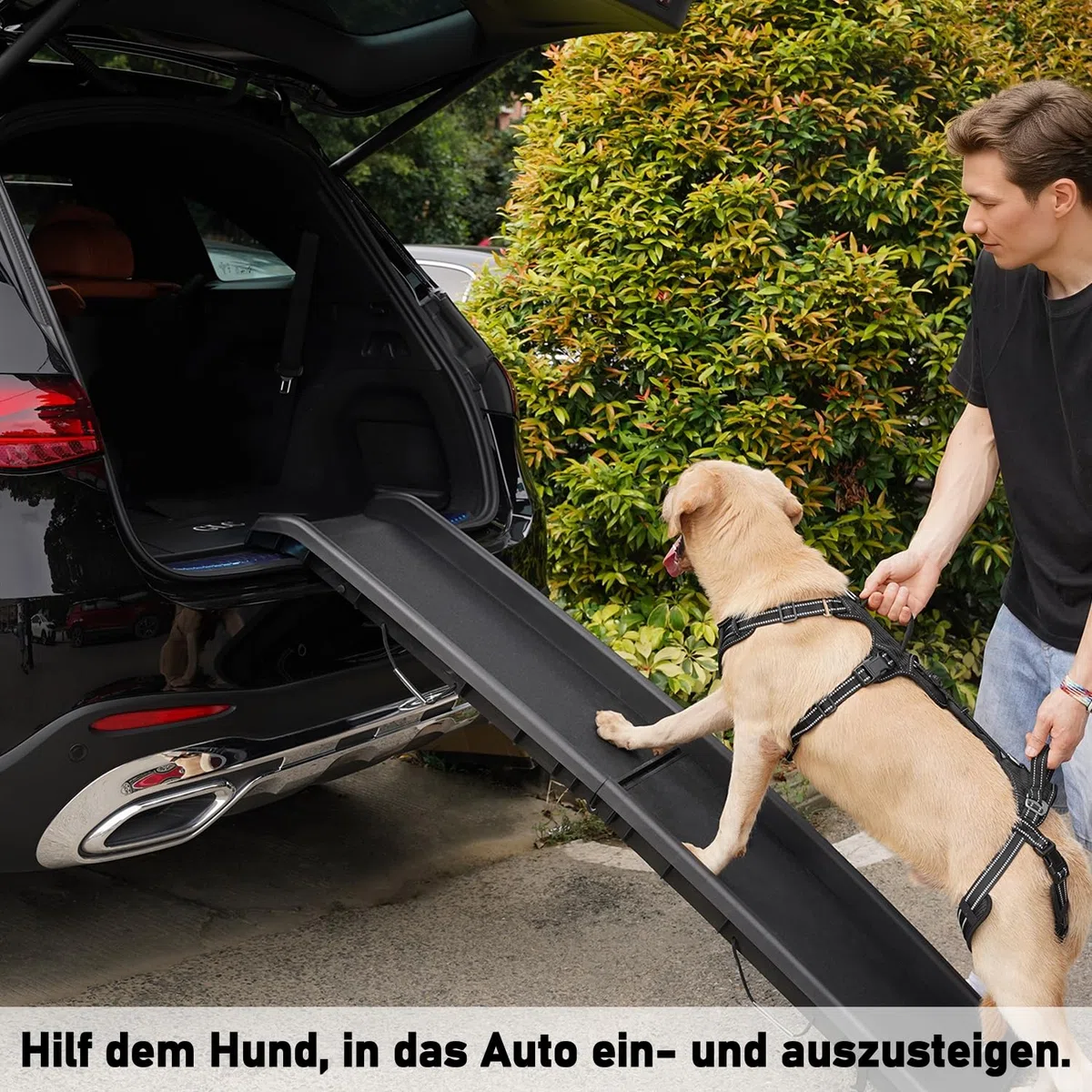 COODEO Tragehilfe Hund Hinterbeine, Hunde Hebegeschirr mit Schultergurt, Hundelift Gehhilfe für alte Hunde, Reha-Geschirr bei Arthritis, Gelenkverletzung, OP & Treppenhilfe (Schwarz, M)