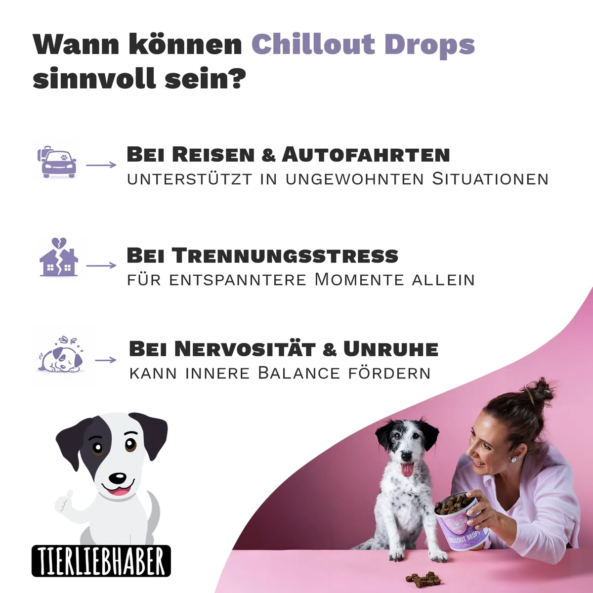 Beruhigungsmittel für Hunde – Natürliches Hunde Beruhigungsmittel tierärztlich entwickelt zur Beruhigung Hund – Chillout Drops mit Baldrian für den Hund Beruhigung und 350g von TIERLIEBHABER
