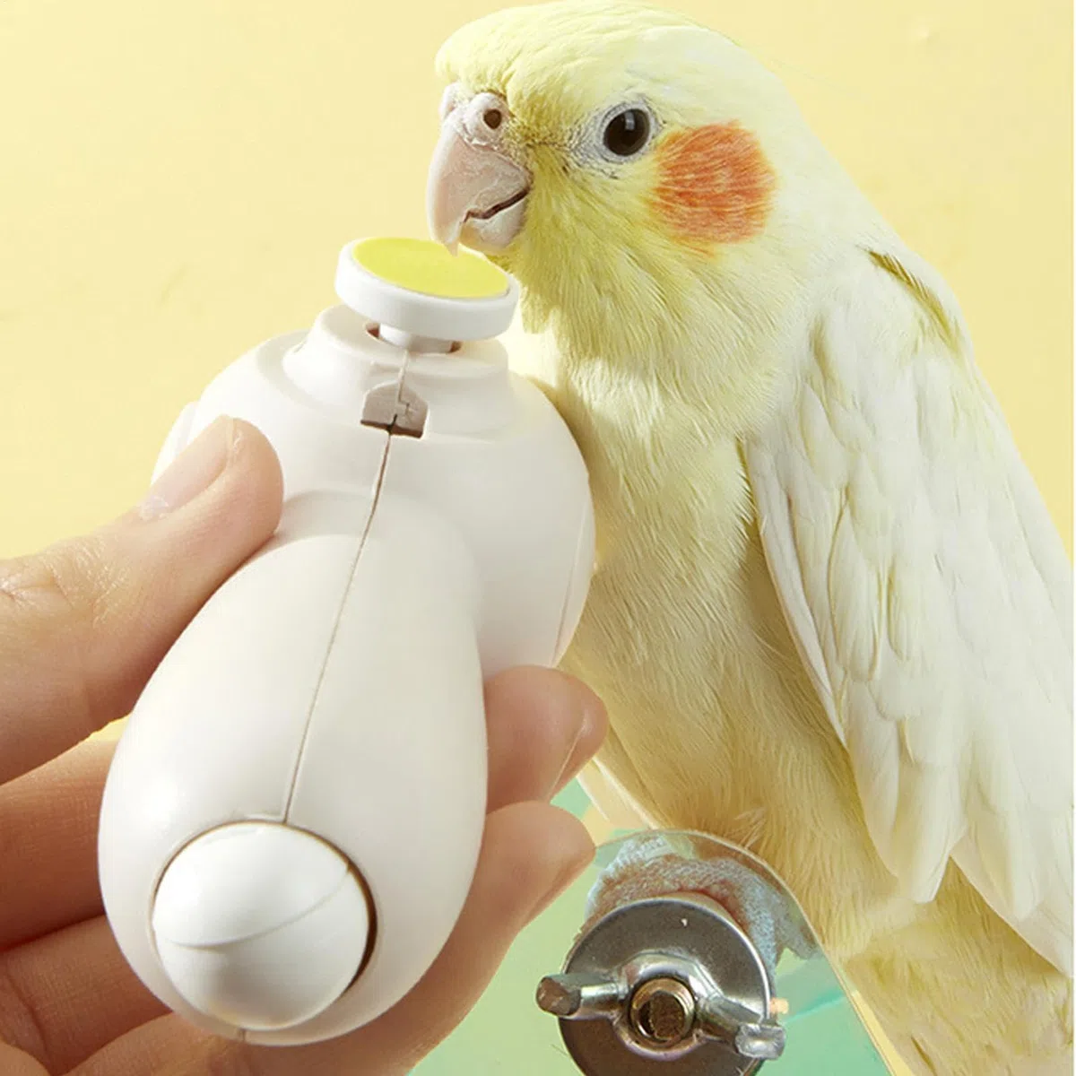 Schnabelschleifer - Silent Elektrischer Schnabelschleifer - Nagelschleifer für Vögel Nagelschleifer für Vögel Sanfte Pflege Werkzeug Nagelknipser inkl