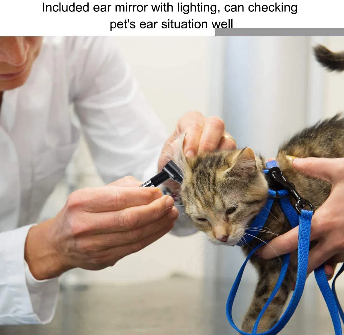 Erste Hilfe Set für Haustiere, tierärztliche Erste-Hilfe-Tasche für Hunde, Katzen, Kaninchen, Tiere, inklusive Otoskop, Thermometer,Tierfutter, perfekt für die Heimpflege und für Outdoor-Notfälle