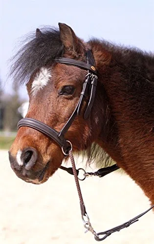 Barefoot Bittless Bridle Sidepull – Weich gepolstert mit breitem Nasen-, Stirn- und Genickstück – Schwarz