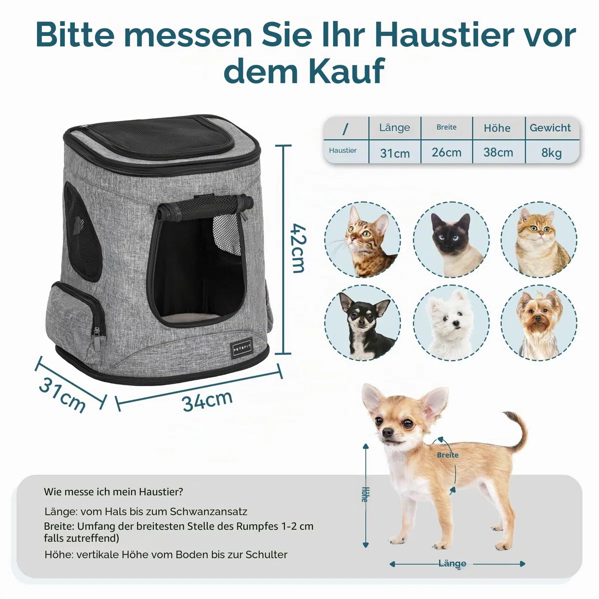 Petsfit Hunderucksack & Katzenrucksack für große Katzen bis 5kg - Leichter Katzen Rucksack mit Netzfenster, Brustgurt & Polster - Atmungsaktiver Rucksack für kleine Hunde, Grau