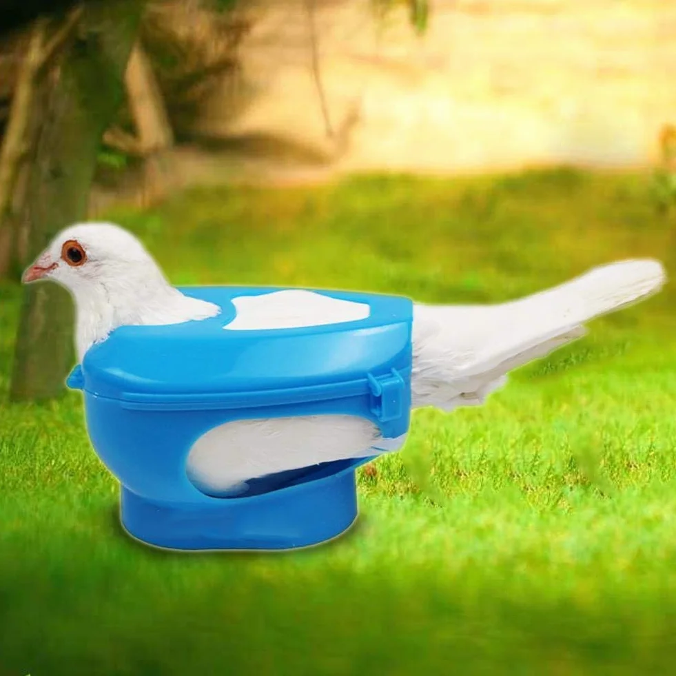 Tauben Injection Holder Vogel Kunststoff Festrahmen Feste Fütterungsbox für Einfache Fütterung von Tauben(blau )