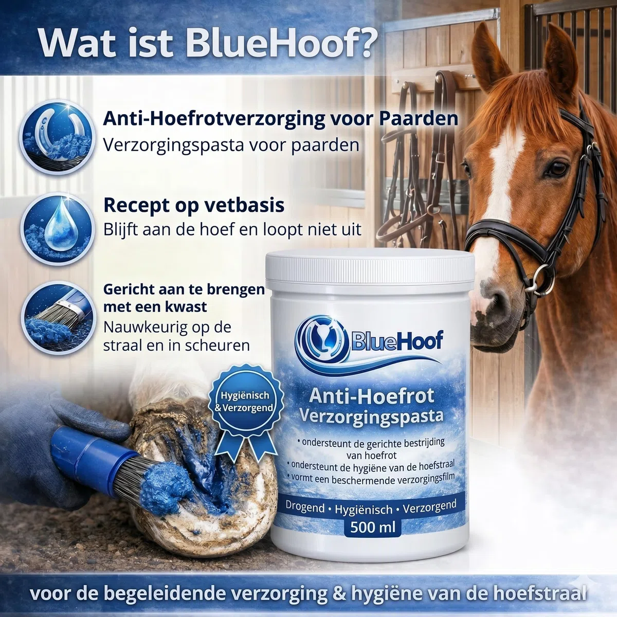 BlueHoof Strahlfäule Paste für Pferde – Hufpflege gegen Strahlfäule & Hufprobleme – trocknend & pflegend – 250 ml
