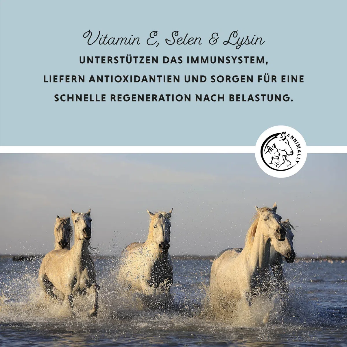 Annimally Selen, Vitamin E, Lysin Pulver für Pferde 800g - Pferd Vitamin E, Lysin, Selen Komplex zur Unterstützung der Muskulatur & Leistung - Ergänzungsfuttermittel für Pferde und Ponys