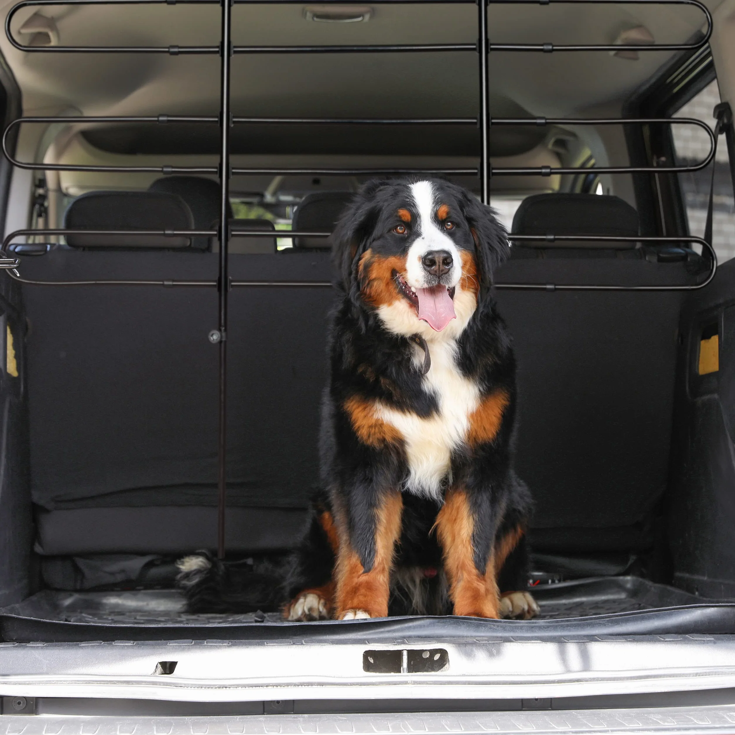 Relaxdays Hundegitter Auto, Schutzgitter Hund, zum Klemmen, Universal Trenngitter, Höhe und Breite verstellbar, schwarz, ‎8 x 83 x 79 cm; 3,6 Kilogramm