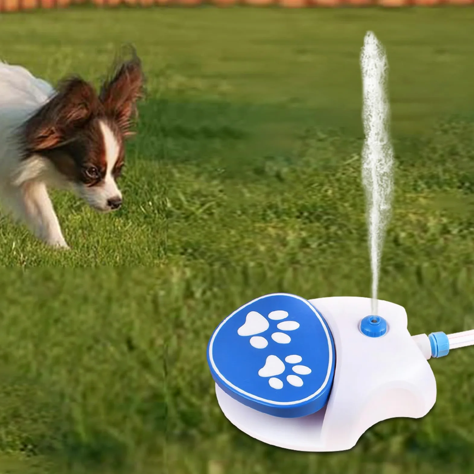 Utdoor Hundewasserbrunnen Schritt auf, Hundwasserspender Haustierbrunnen, Großer Hund Sprinkler Trinkwasserspender Hund Pfoten Wasserer mit Weichem Schlauch Aktiviert
