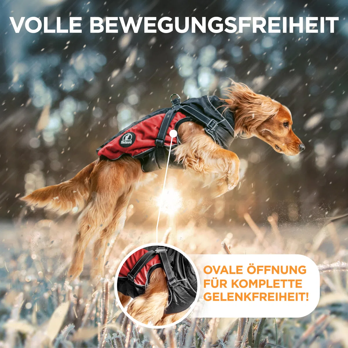Tierhood Regenmantel Hund - Hunderegenmantel wasserdicht- Reflektierende Regenjacke Hund - Hundemantel inkl. Geschirr Wasserdicht