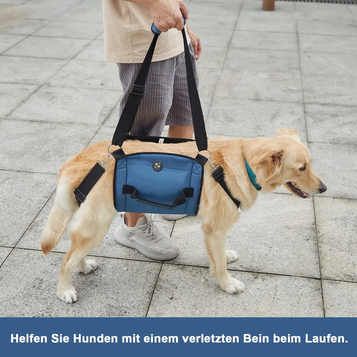 COODEO Hundetragegurt, Notfallrucksack Unterstützung für Rehabilitation Hundelift Geschirr, Hundeträger für ältere Hunde Gelenkverletzungen, Arthritis, Treppe hinauf (XL, Blau)