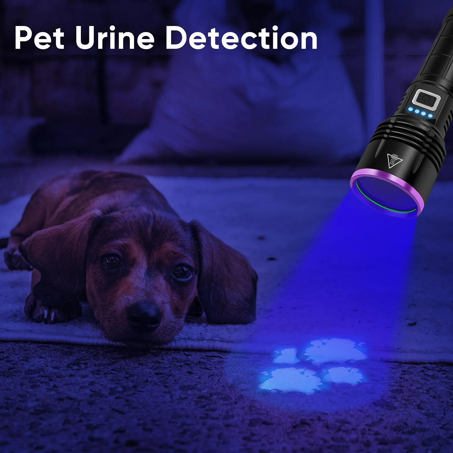 UV Taschenlampe 20W, 5000mAh Hochleistungs-365nm-UV-Licht, LED USB wiederaufladbare Schwarzlicht-Taschenlampe,uv lampe für bernstein,epoxidharz,Erkennung von Haustierurin,Mineralien,Reisen,Bettwanzen