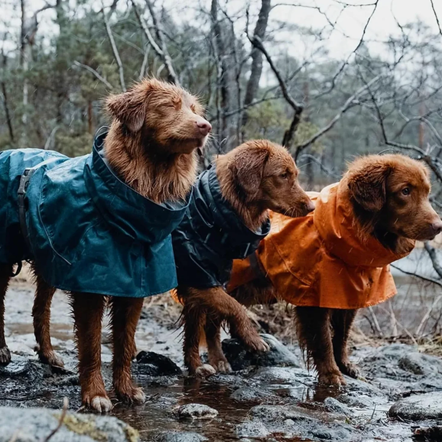 Hurtta Monsoon Hunderegenmantel, Wasserdicht Regenjacke für Hunde mit Reflektoren, Schwarz 45 cm