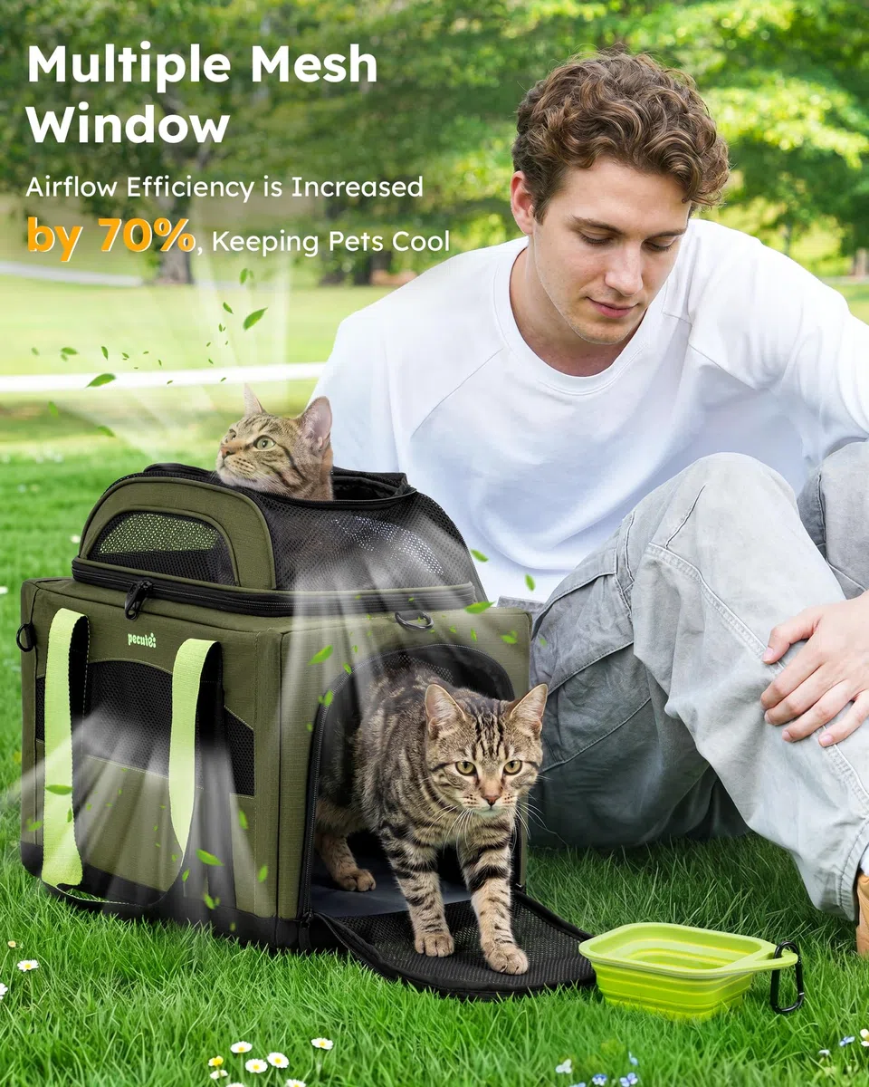 pecute Katzen Transportboxen Katzentasche Transporttasche Bben Erweiterbar | Transportbox Katze Leicht, Faltbar Katzen Tasche für Katzen und kleine Hunde Stabiler großer Raum Halt Haustier Tragetasche