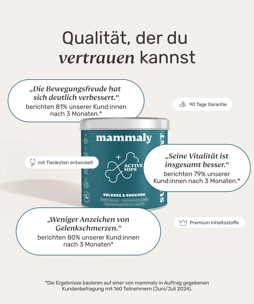 11-in-1 Grünlippmuschel Hund Gelenktabletten - Active Hips 110 Leckerli (325g) von mammaly - Gelenk- & Knochenschutz für Hunde - Praktische Alternative zu Kapseln & Grünlippmuschelpulver für Senior