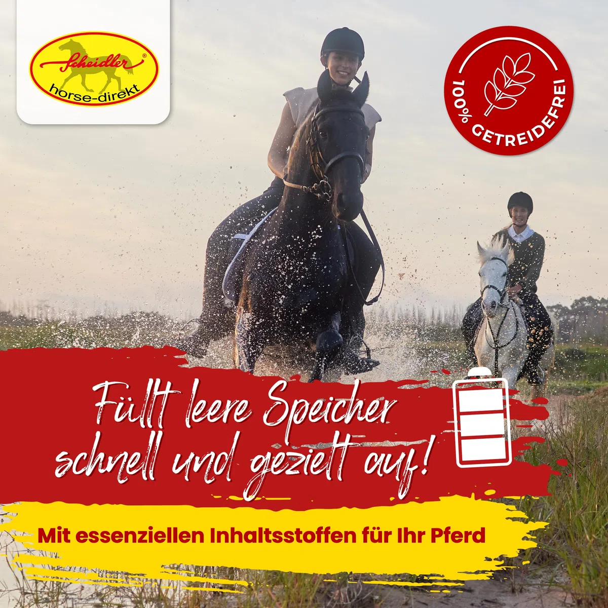 Scheidler horse-direkt Zink Komplex für Pferde - 4kg Pellets Eimer hochdosiert für Huf, Haut & Fell – Mit Bierhefe, Zeolith, Esparsette & Schwarzkümmel – Getreidefrei - Alle wichtigen Mineralien