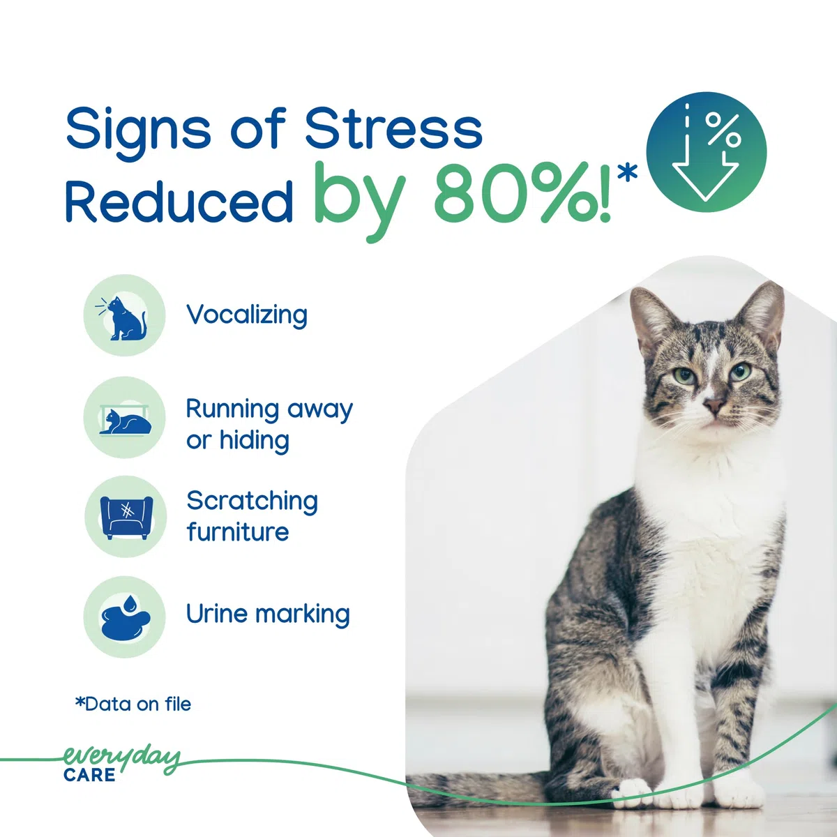 Virbac Zenifel Gel-Diffusor zur Bewältigung von stressbedingtem Verhalten bei Kätzchen und Katzen, kein Strom erforderlich, hält bis zu 2 Monate, 1 Diffusor