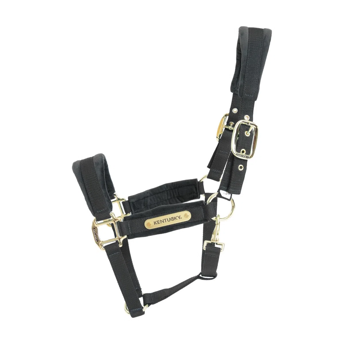 Kentucky Horsewear - Halfter - Samt - Schwarz - Cob