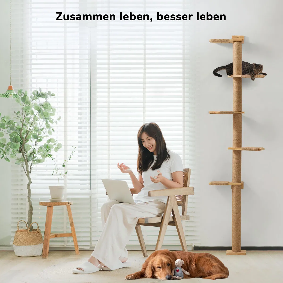 FUKUMARU Kratzbaum, 5 Etagen bis zur Decke reichender Katzenturm(206 cm), wandmontierter Katzenbaum,aus Natürliches Gummibaumholz, für Katzen zum Klettern, Kratzen, Ausschau halten und Spielen.