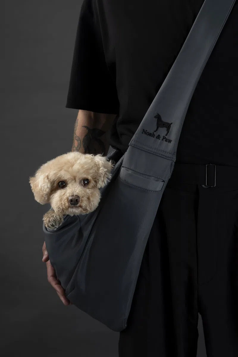 Noah & Paw Hundetragetasche für Kleine Hunde bis 10kg, Hundetasche mit Verstellbarem Schultergurt, und Weichem Fell, Doppelte Sicherheitsfunktion, Haustiere Tragetasche aus Premium Twill