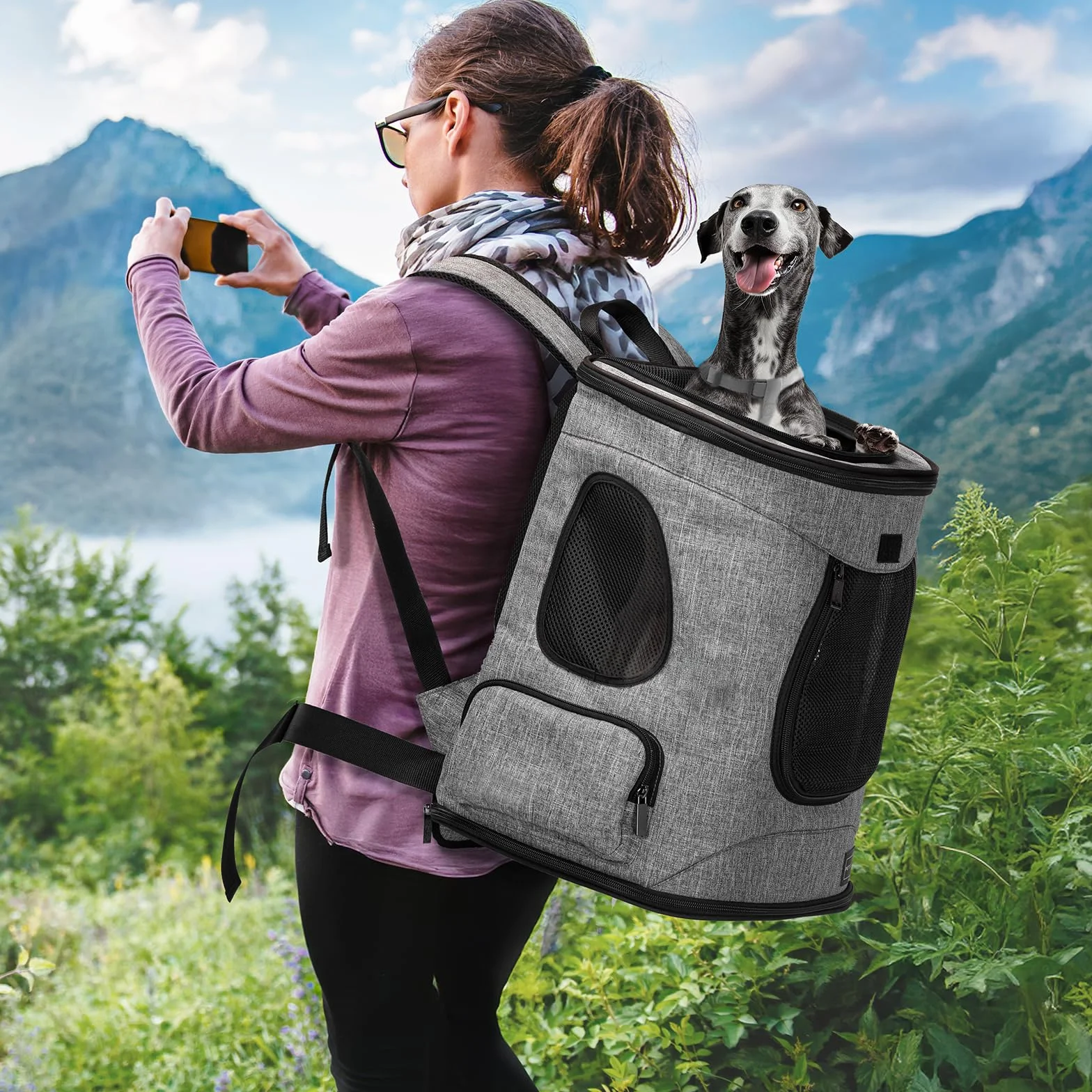 Petsfit Hunderucksack & Katzenrucksack für große Katzen bis 5kg - Leichter Katzen Rucksack mit Netzfenster, Brustgurt & Polster - Atmungsaktiver Rucksack für kleine Hunde, Grau