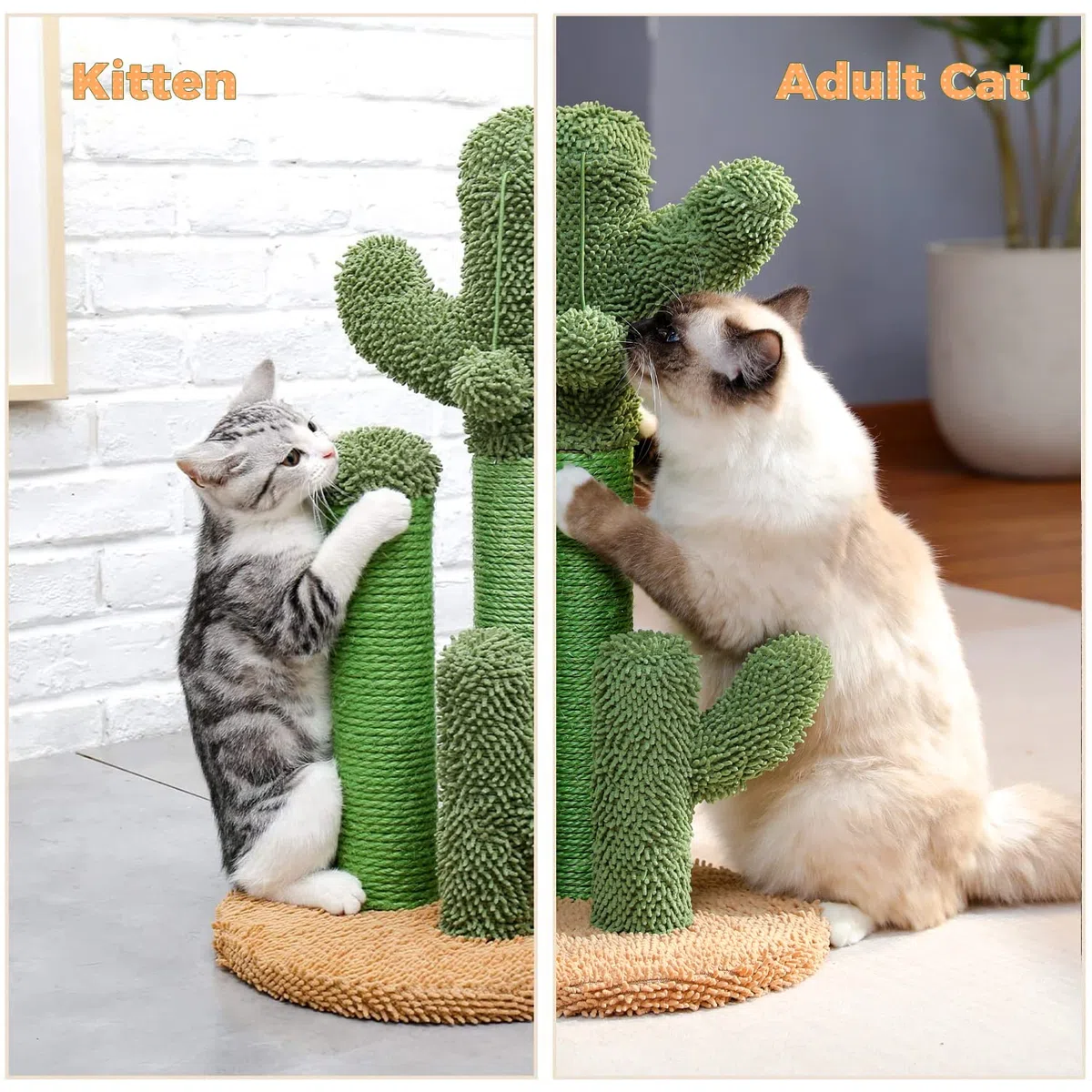 PAWZ Road Kratzbaum Kaktus, kreatives Katzenbaum-Design, 3 Pfosten in 1 Set, braun, L 68,5 cm