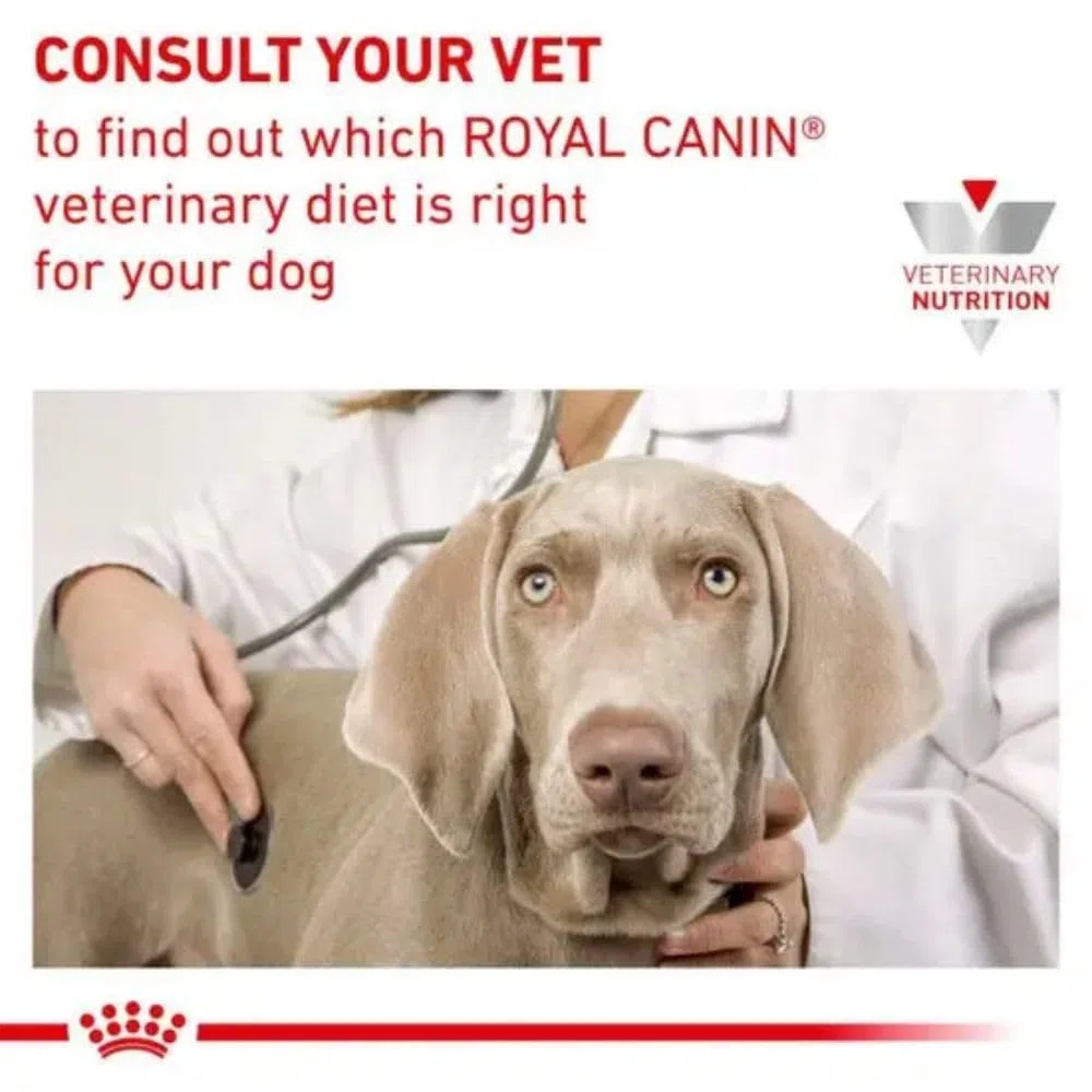 Royal Canin Veterinary Hypoallergenic SMALL Dogs | 3,5 kg | Diät-Alleinfuttermittel für ausgewachsene kleine Hunde | Zur Minderung von Nährstoffintoleranzerscheinungen