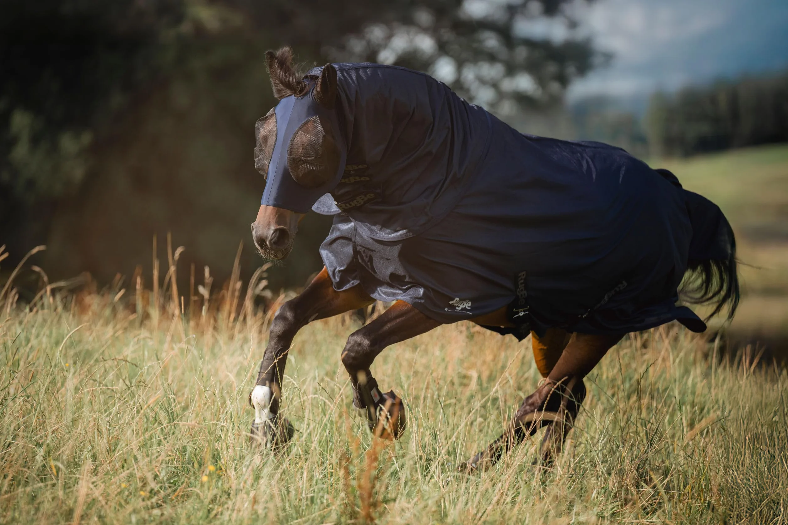 Covalliero Fliegendecke RugBe Superfly inkl. Halsteil, 145cm, Navy