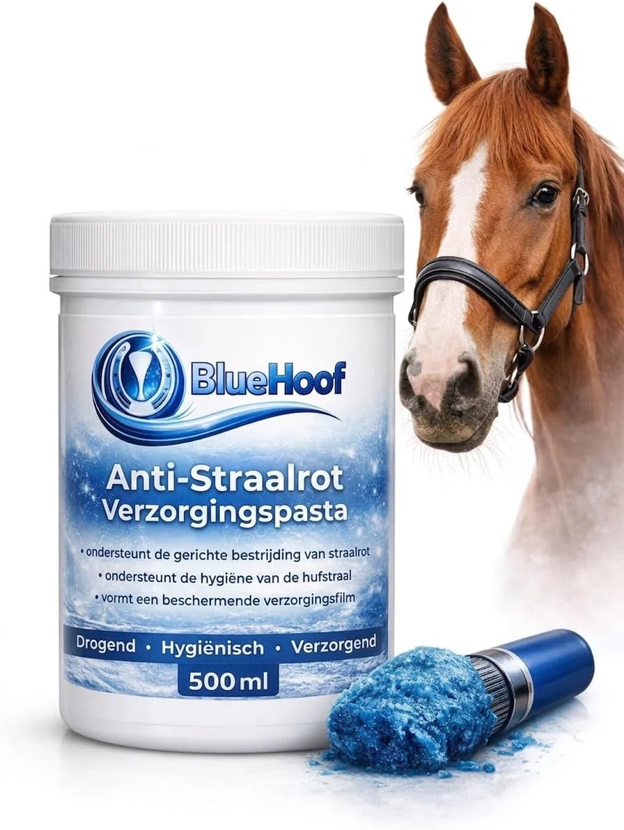 BlueHoof Strahlfäule Paste für Pferde – Hufpflege gegen Strahlfäule & Hufprobleme – trocknend & pflegend – 250 ml