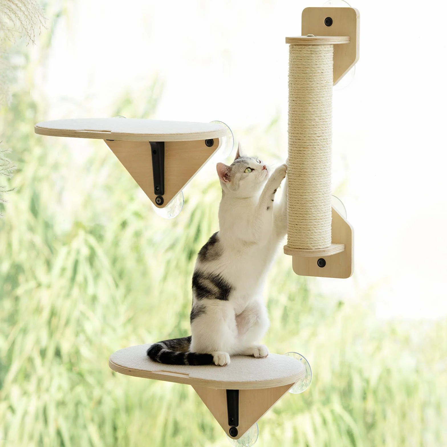 EDAGNY Katzenfenstersitzstange, Katzenkratzbaum und Katzenplattform mit starken Saugnäpfen für Hauskatzen (Grundfarbe, 3 PCS Set)
