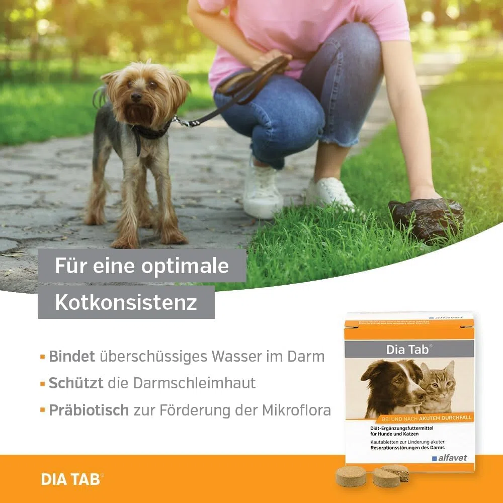 alfavet Dia Tab, 60 x 5,5g, Diät-Ergänzungsfuttermittel für Hunde und Katzen, Kautablette bei und nach akutem Durchfall