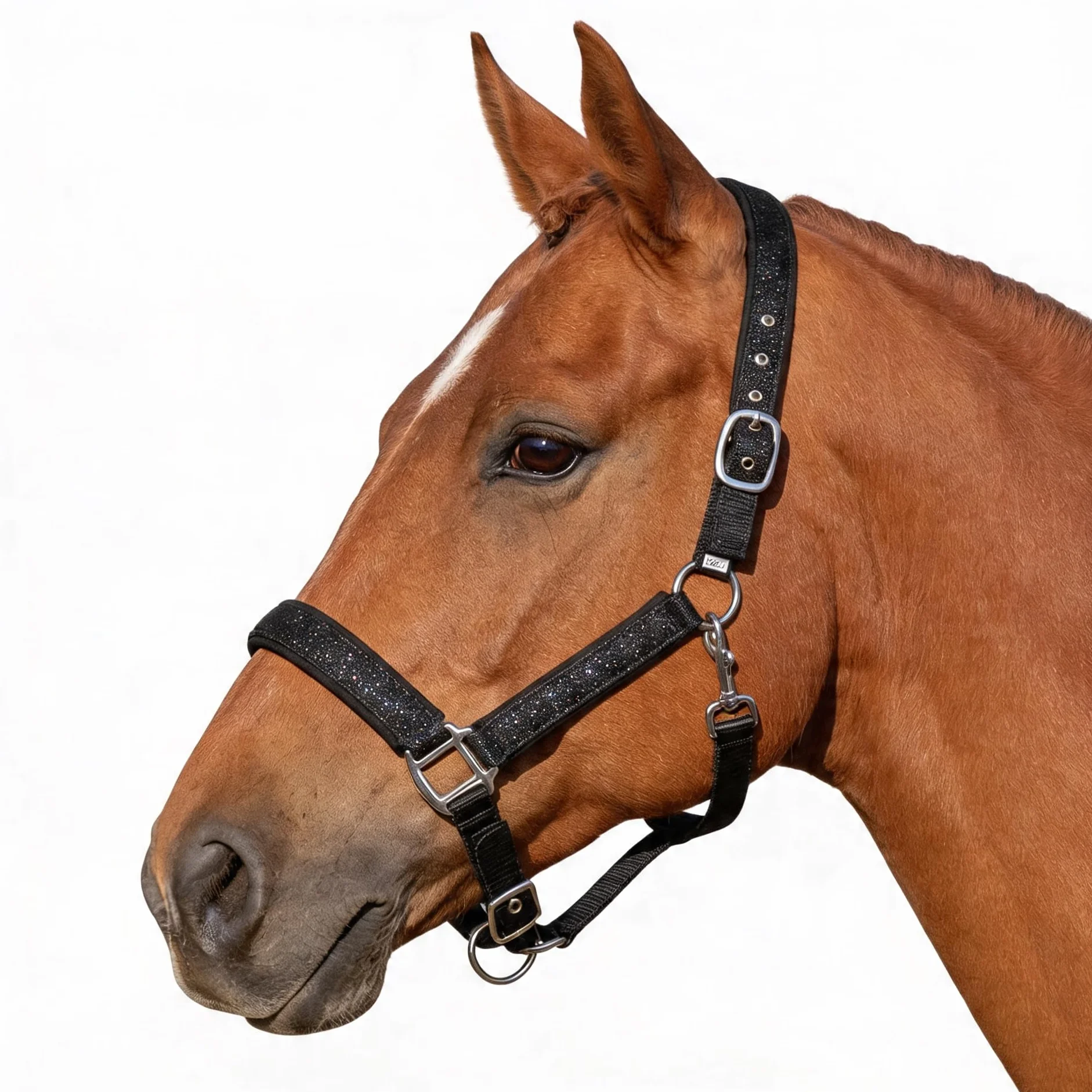 Pferdelinis Halfter für Pferde Glitzerhalfter, gepolstertes Halfter, verstellbare Dornschnallen, Halfter Pony, Cob, Warmblut, Shetty (Schwarz, Warmblut)