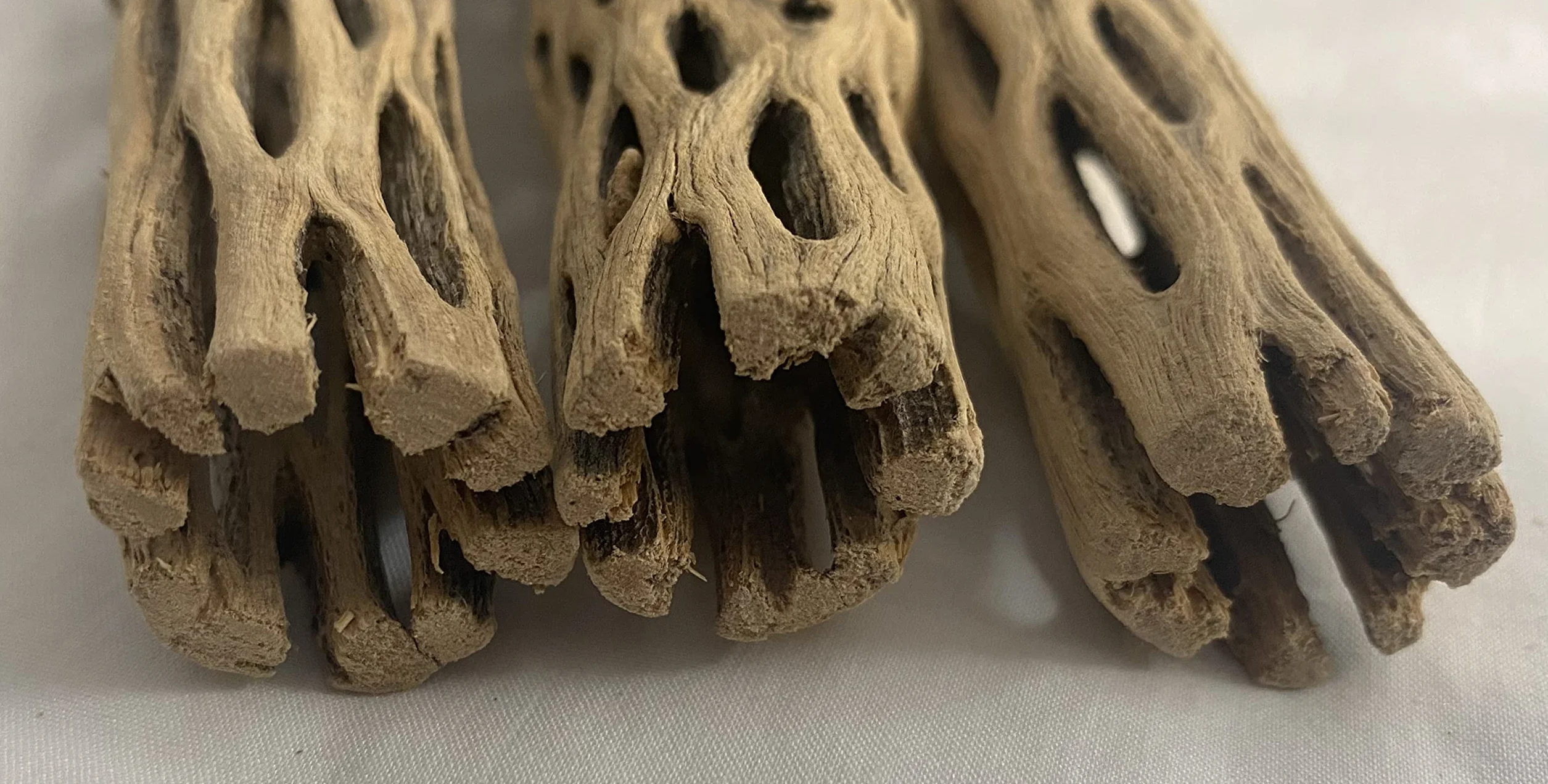 Awesome Aquatics Natürliches Cholla/Choya-Holz, 15.2 cm, für Garnelen Lebensraum und Futter für Einsiedler, Krabben, Plekos, Aquarium-Dekoration, getrocknet, organisch