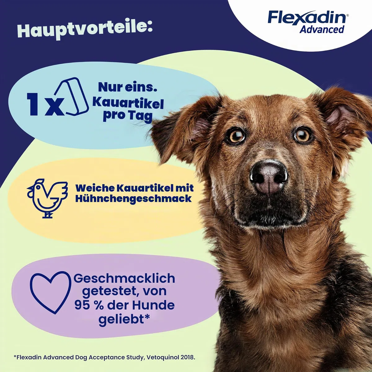 FLEXADIN ADVANCE BW PERRO 30CPD