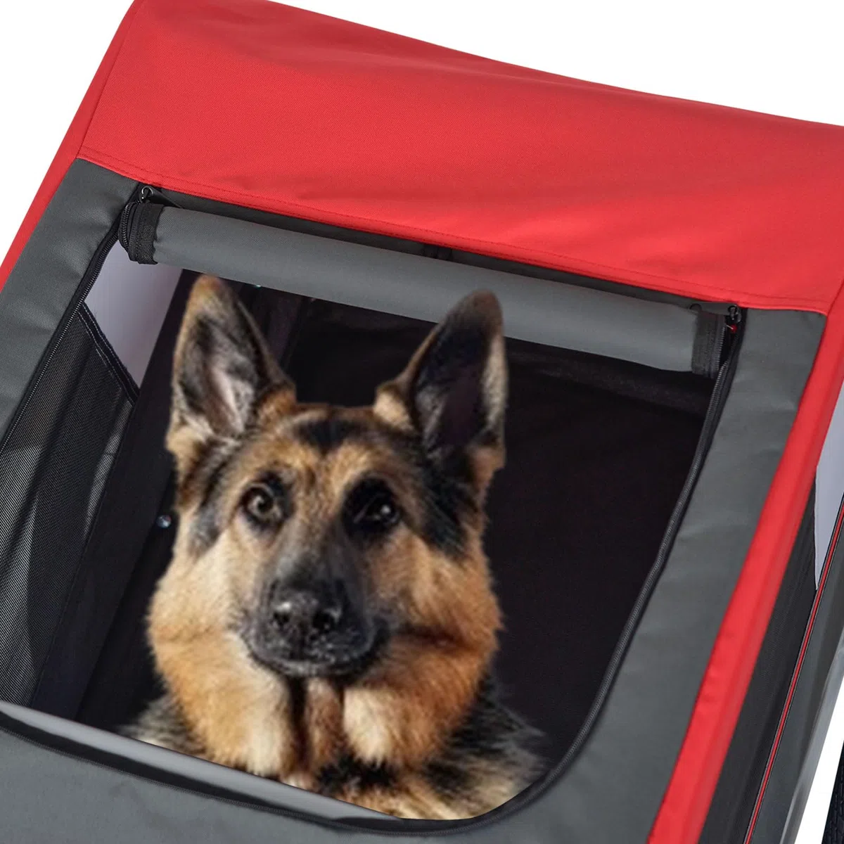 Tiggo VS Pets L Hundeanhänger groß Fahrradanhänger ca. 270L Volumen für mittelgroße und große Hunde bis 35 kg, Klappbar,80202