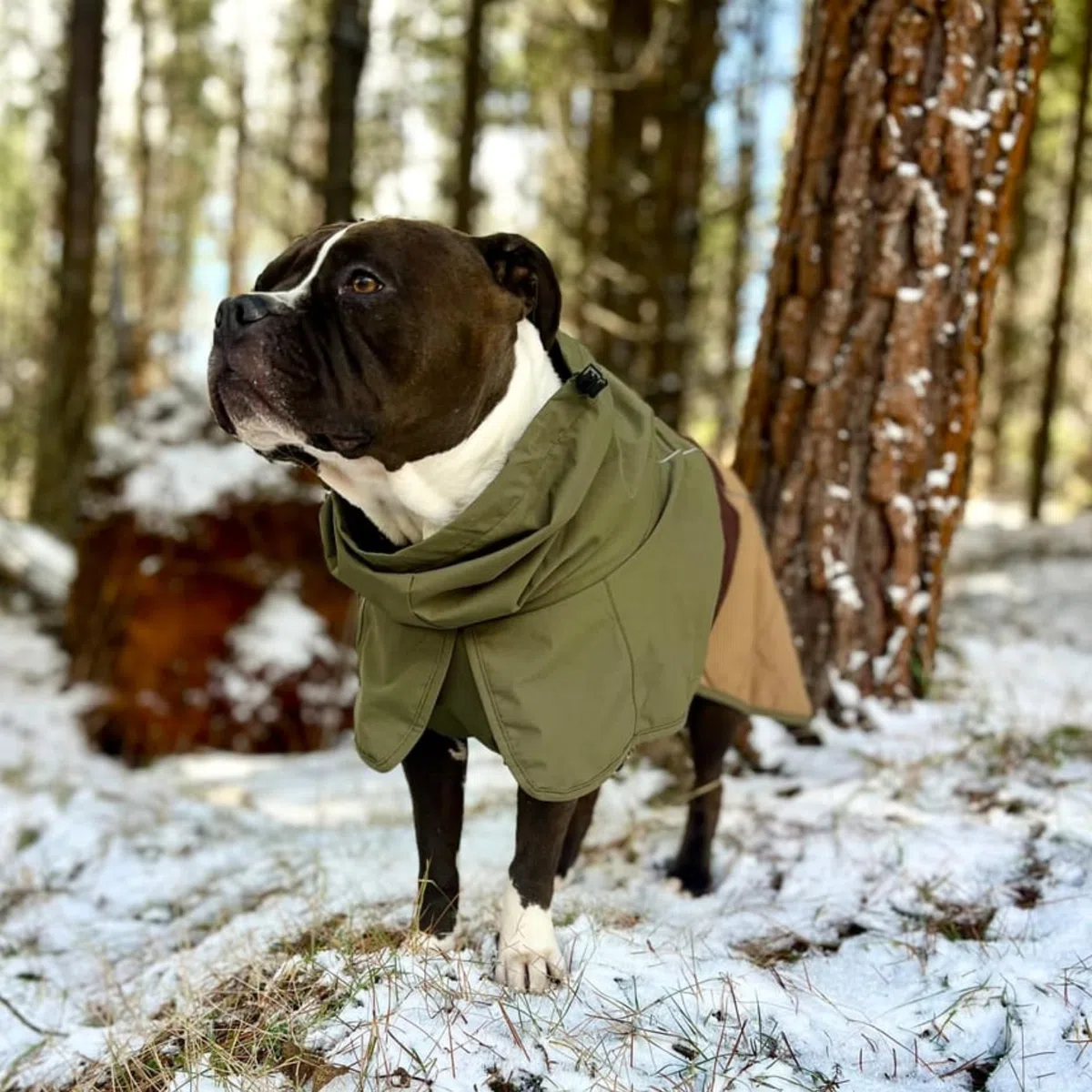 Spark Paws Hunderegenmantel, wasserdichte Winddichte Regenjacke, für kleine, mittlere, große und extra große Hunde, reflektierend, atmungsaktiv, mit vollständigem Körperschutz - Green Brown Tan - L